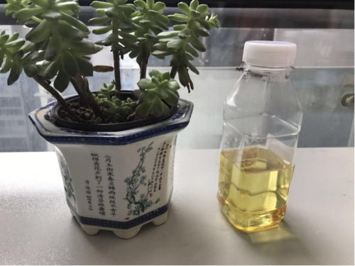 14_看图王.jpg