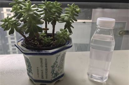 鑫蓝卡消泡剂性价比高！
