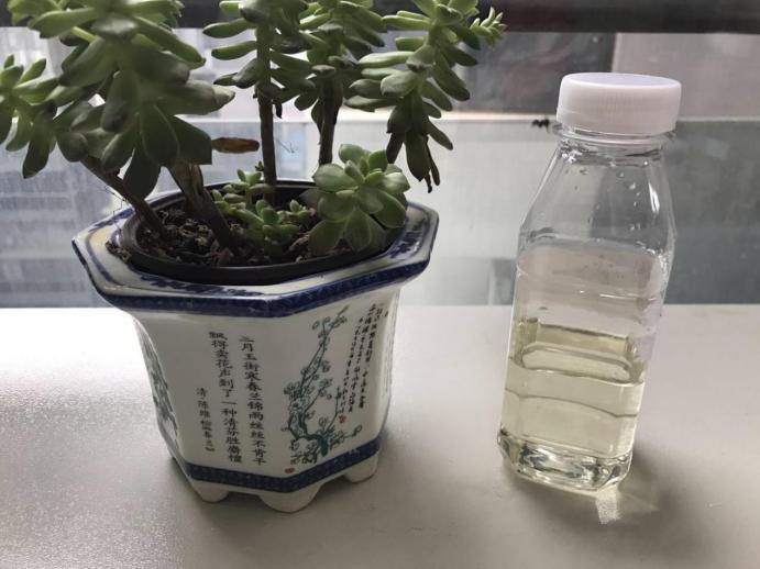 图片8.jpg