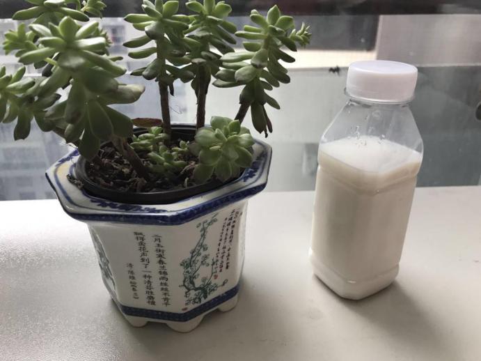 图片14.jpg